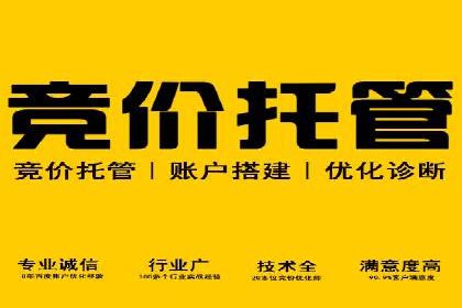 专业SEM托管服务成功案例分享